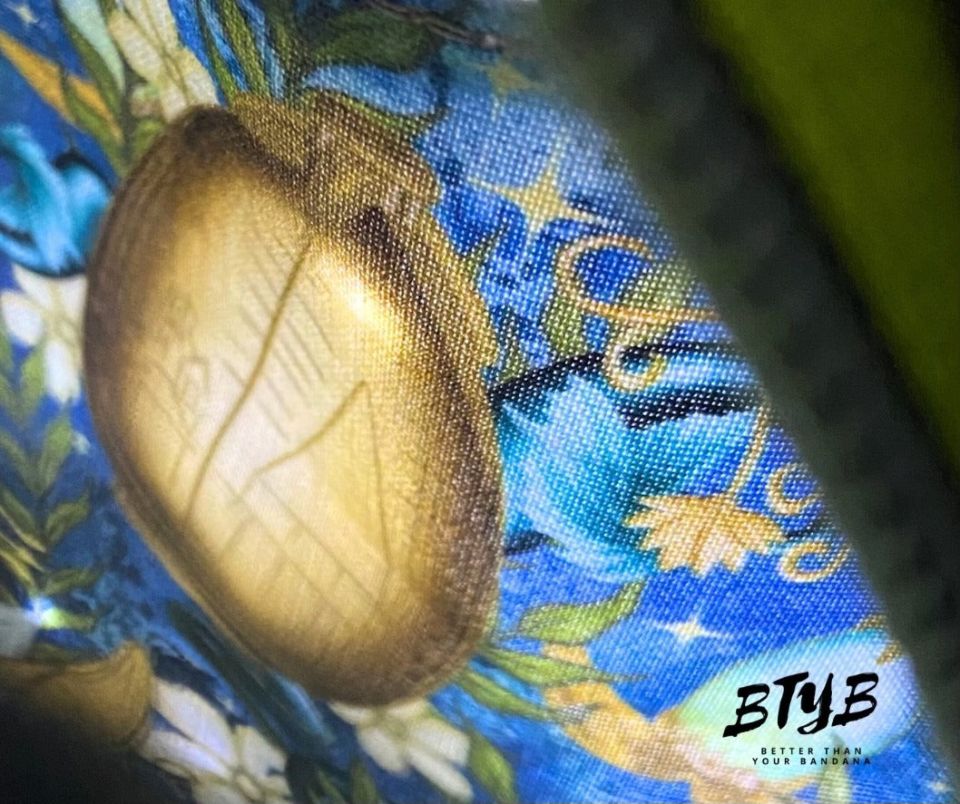 Golden Egg Reg 12in (RETAIL)