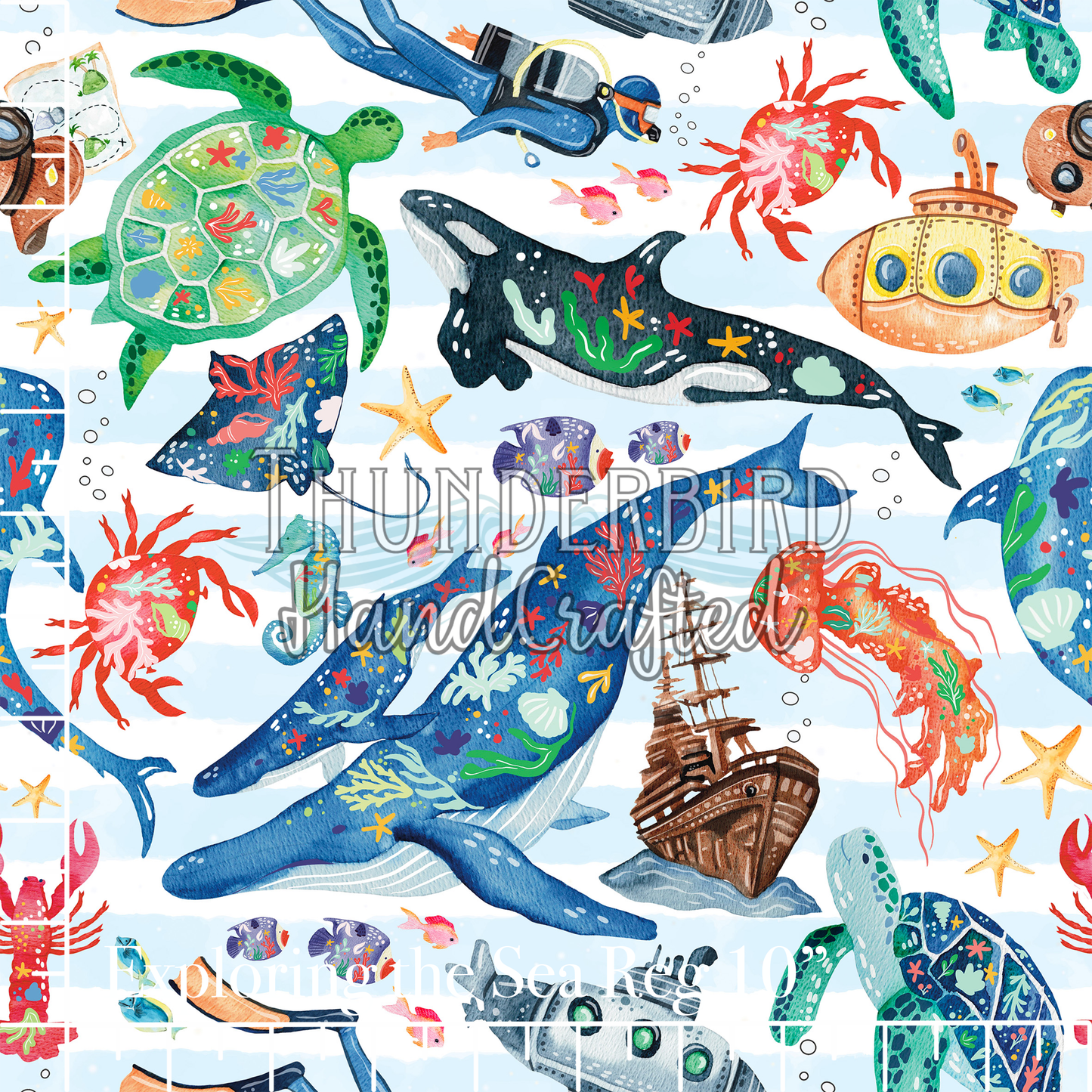 Exploring the Sea Reg 10" - PREORDER