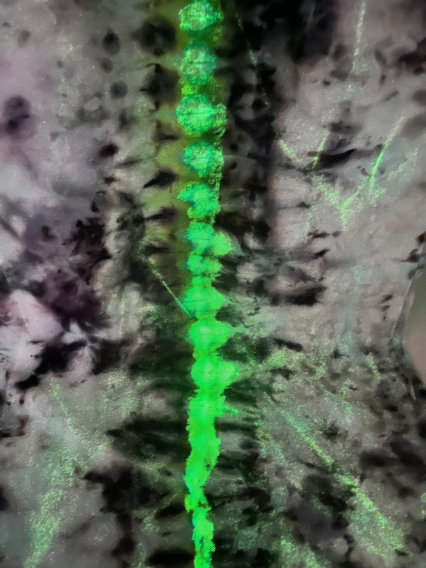 Dark Mark (GLOW IN THE DARK) 1/2 yd Denim