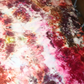13 - Cotton Sateen 60" x 104" - Large Batch Dye