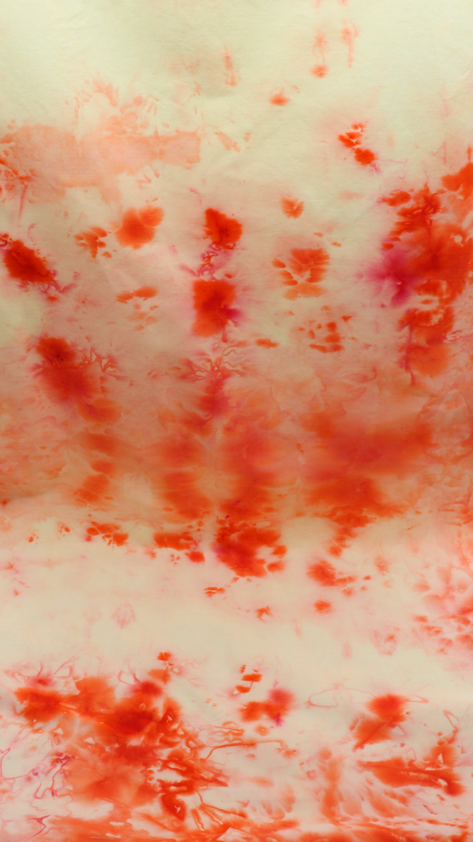 Creamcicle - 1/2yd Cotton Poplin