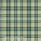 Charlie's Plaid Reg 12 in EXCLUSIVE - PREORDER
