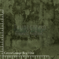 Green Grunge 12in - PREORDER