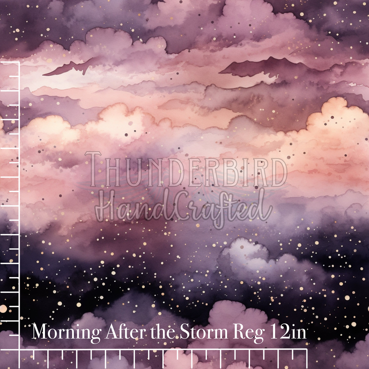 Morning After the Storm Reg 12in