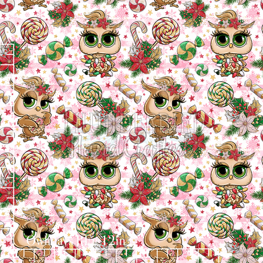 Owlidays Reg 12in - Nov 2025 DNFK