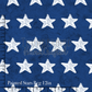 Painted Stars Reg 12in - PREORDER